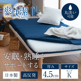 【ふるさと納税】 高反発寝具ブレスエアー&reg;製敷パッド「ライト」キングサイズ 近江化成工業株式会社 滋賀県 東近江 近江 BB06