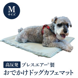 【ふるさと納税】高反発ブレスエアー製 おでかけドッグカフェマット Mサイズ 近江化成工業株式会社 滋賀県 東近江市 D-E21 犬用 ペットマット クッション 洗える 抗菌 防臭 蒸れない 持ち運び カフェ お出かけ 旅行 ドライブ アウトドア