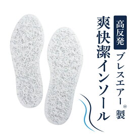 【ふるさと納税】高反発ブレスエアー製「インソール」 近江化成工業株式会社 滋賀県 東近江市 O-D04 高通気 洗える 蒸れない 防臭 抗菌 制菌 衝撃吸収 足裏快適 靴中サラサラ ムレ対策 水虫予防 足のニオイ軽減 スニーカー ブーツ 長靴 革靴 安全靴 立ち仕事 スポーツ