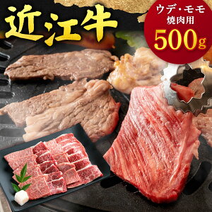 yӂ邳Ɣ[Łzߍ] Ef E  ēp 500g {X ꌧߍ]sB-F12 ߍ] ē  ~ Ԑg  Mtg  