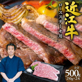 【ふるさと納税】 近江牛 ロース ステーキ 2枚500g （250gx2枚） 牛肉 美味しい ブランド牛 高級 人気 国産 楽天 寄付 返礼品 お歳暮 ギフト プレゼント お祝い 贈り物 ふるさと納税 近江 東近江 D15 本多商店