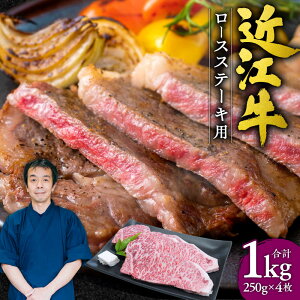 yӂ邳Ɣ[Łzߍ][XXe[L41kg i250gx4j{X ꌧߍ]sG-E03 ߍ] Xe[L  ~ _炩  Mtg  