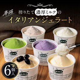 【ふるさと納税】 イタリアンジェラート ミニカップ 詰め合わせ6個入り ジェラート アイス デザート 楽天 返礼品 寄付 お歳暮 お祝い 贈り物 故郷納税 滋賀県 近江 東近江 O-I16 有限会社池田牧場