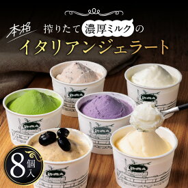 【ふるさと納税】イタリアン ジェラート ミニカップ 詰め合わせ8個入り 池田牧場 滋賀県 東近江市 A-A21 アイス 詰め合わせ スイーツ デザート お取り寄せ 贈り物 ギフト