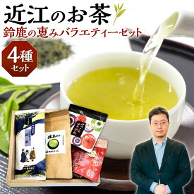 【ふるさと納税】近江のお茶 鈴鹿の恵みバラエティーセット 銘茶ますきち 滋賀県 東近江市 A26 緑茶 煎茶 高級 日本茶 ティーバッグ 抹茶ラテ 詰め合わせ ギフト 滋賀 鈴鹿
