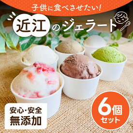 【ふるさと納税】近江のジェラート （6個セット） かなめカフェ 滋賀県 東近江市 O-E07 ジェラート アイス アイスクリーム 滋賀 近江 スイーツ ギフト