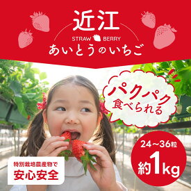 【ふるさと納税】 あいとうイチゴ 果物 いちご スイーツ フルーツ デザート スムージー 楽天 返礼品 寄付 お歳暮 お祝い 贈り物 故郷納税 滋賀県 東近江 近江 A-E39 あいとうマーガレットステーション