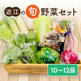 【ふるさと納税】 季節の旬野菜セット 産地直送 あいとうマーガレットステーション 滋賀県 東近江市 A51 野菜 詰め合わせ セット 産直 新鮮旬野菜 旬の野菜 お取り寄せ グルメ