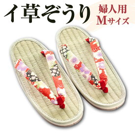 【ふるさと納税】イ草ぞうり 婦人用 畳増 滋賀県東近江市A30 草履 ぞうり レディース 和風 国産 履物 軽い 快適 ギフト