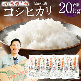 【ふるさと納税】近江永源寺米コシヒカリ 計20kg 株式会社カネキチ 滋賀県 東近江市 F-G08 お米 白米 国産 精米 ご飯 ブランド米