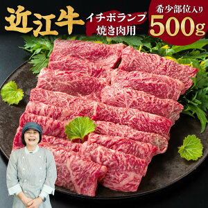 yӂ邳Ɣ[Łzߍ] C`{ v Ăp 󏭕ʓ 500g 2`3lO 폼X ꌧ ߍ]s C-D14 a  Ԑg ē     Mtg