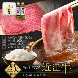 【ふるさと納税】しゃぶしゃぶセット（しゃぶしゃぶ用肉、ポン酢、ごまだれ、お米） 安田牧場 滋賀県 東近江市 C-B09 しゃぶしゃぶ しゃぶしゃぶセット ポン酢 ごまだれ 米 近江牛 安田牧場 ブランド牛 滋賀県産 和牛 牛肉 霜降り お取り寄せ 贈答品 ギフト 高級肉