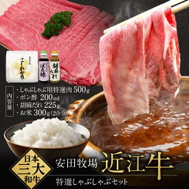 【ふるさと納税】特選しゃぶしゃぶセット（しゃぶしゃぶ用特選肉、ポン酢、ごまだれ、お米） 安田牧場 滋賀県 東近江市 D-B11 しゃぶしゃぶ しゃぶしゃぶセット ポン酢 ごまだれ 米 近江牛 安田牧場 特選 ブランド牛 滋賀県産 和牛 牛肉 霜降り お取り寄せ 贈答品