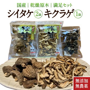 �y�ӂ邳�Ɣ[�Łz���Y�����_��̊������؃V�C�^�P2�܂ƃL�N���Q1�܂̖����Z�b�g ��ʎВc�@�l �؂Â����v���W�F�N�g ���ꌧ ���ߍ]�s A-A12 �����ő� �����炰 ���Y�� ���_�� ���� ���Y ����