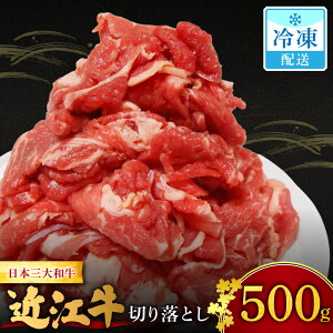 yӂ邳Ɣ[Łz ߍ]؂藎Ƃ 500g 쐸X ꌧ ߍ]s O-I15 a   ؂藎Ƃ ē Ă uߕ Mtg   ߍ]