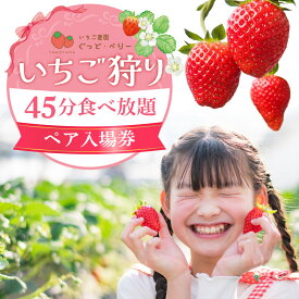 【ふるさと納税】いちご狩りペア入場券 いちご農園ぐっど・べりー 滋賀県 東近江市 B-A12 いちご狩り ペア チケット 滋賀 食べ比べ 9種類 45分間 体験