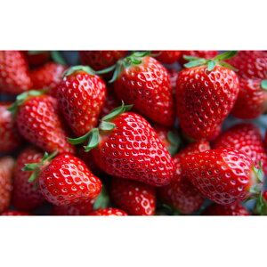 【ふるさと納税】いちご 川瀬農園 紅ほっぺ 4パック 苺 イチゴ 果物 フルーツ くだもの 国産  お届け:2026年1月下旬より順次発送