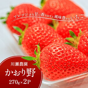 【ふるさと納税】川瀬農園のかおり野 2パック お届け:2026年1月下旬より順次発送