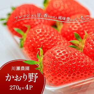 【ふるさと納税】川瀬農園のかおり野 4パック お届け:2026年1月下旬より順次発送