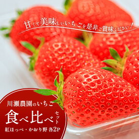 【ふるさと納税】川瀬農園のいちご食べ比べセット　4パック（紅ほっぺ・かおり野　各2P）　お届け：2026年1月下旬より順次発送