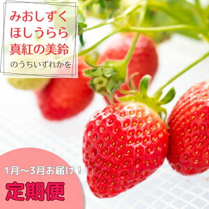 yӂ邳Ɣ[Łz󏭕i킢3ցi1`3͂j@͂F2026N13Ał͂