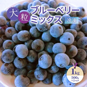 【ふるさと納税】大粒ブルーベリーミックス(冷凍)1kg(500g×2パック)| ブルーベリー 果物 フルーツ 冷凍フルーツ ベリー類