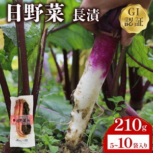 yӂ邳Ɣ[Łz ؒ  210g Iׂ e 5 ` 10 Е Ђ y      ɂ  Ð|Ђ `  Ɨp  蕨 Mtg  ꌧ 쒬 