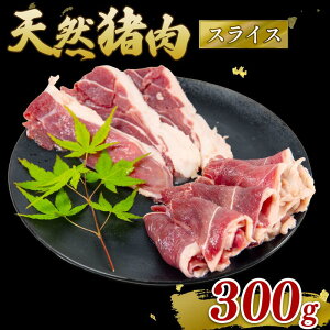 yӂ邳Ɣ[Łz  XCX 300g WrG  CmVV ̂  ē {^   J[ N h{ | Ⓚ _CGbg ꌧ 쒬Y 쒬