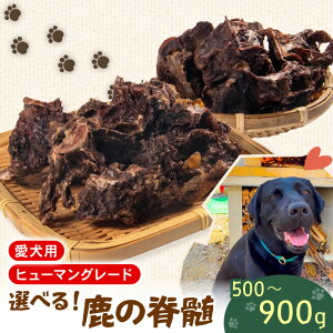 yӂ邳Ɣ[Łz ybgt[h VJ  Ґ 500 g ~ 900 g Zbg t hbNt[h ybg   Ck 񂿂 ^ ^ ^ ^pN ς ᎉb J[ 