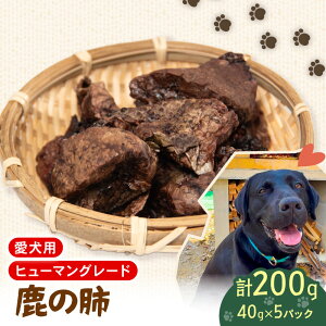 yӂ邳Ɣ[Łz ybgt[h VJ  x 40g×5 Zbg hbNt[h ybg   Ck 񂿂 p  ^ ^ ^ ^pN ς ᎉb J[ 