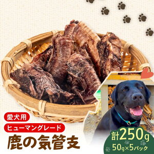 yӂ邳Ɣ[Łz ybgt[h VJ  Cǎx 50g×5 Zbg hbNt[h ybg   Ck 񂿂 p  ^ ^ ^ ^pN ς ᎉb J
