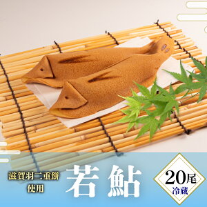 yӂ邳Ɣ[Łz ሼ 5 10 20 َq  aَq َq  XC[c Mtg  蕨 ꌧ 쒬 َq