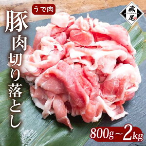 yӂ邳Ɣ[Łz ؓ ؂藎Ƃ 800g`2kg r א؂ ܂ Ⓚ    |[N œ ٓ  ӂ͂ ґ Mtg ^ ^pbN 蕨  ꌧ 쒬