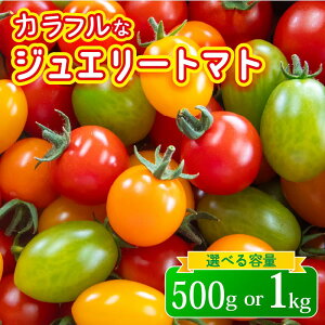 yӂ邳Ɣ[Łz WG[ g}g 1kg 500g  ~jg}g g}gW[X ₳ lC VN Yn Â Rs r^~ _CGbg N e  _CGbg  ꌧ 