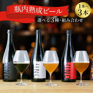 �y�ӂ邳�Ɣ[�Łz �r �r�[�� 750ml × 1 ~ 3�{ �I�ׂ� �Z�b�g �r�[�� �N���t�g�r�[�� ���ݔ�� �z�b�v �r�[�� �Z�b�g �N���t�g ���� �� �����Z�b�g �r�[���Z�b�g �y�Y �����n ���Ε� �M�t�g �v��