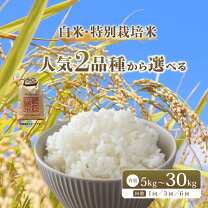 楽天市場】みずかがみ 30kgの通販