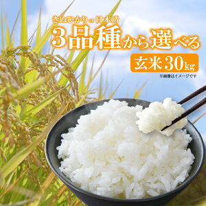 yӂ邳Ɣ[Łz y V z ߘa7NY V ʂЂ ʂނ {   30kg Y ꌧ 쒬 _ƒ    Yn ӂ邳Ɣ[