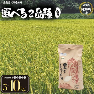 yӂ邳Ɣ[Łz ߘa7NY V 5kg Iׂ y i e ͂ z { ʂЂ 5kg 10kg 30kg   3 6   2025NY Y ꌧ 쒬 _ƒ   