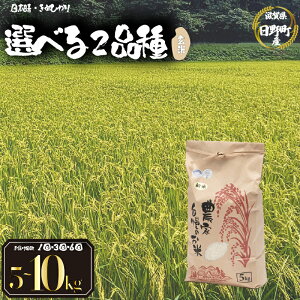 yӂ邳Ɣ[Łz ߘa7NY V 5kg  Iׂ y i e ͂ z { ʂЂ 5kg 10kg 30kg   3 6  2025NY Y ꌧ 쒬 _ƒ   