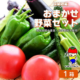 【ふるさと納税】 【数量限定】 おまかせ野菜セット 1箱 トマトファクトリー 野菜 トマト きゅうり 白菜 オクラ じゃがいも 玉ねぎ なす 詰め合わせ セット 新鮮 採れたて 食材 旬 栽培 産地直送 農家直送 農家応援 滋賀県 日野町 ふるさと納税