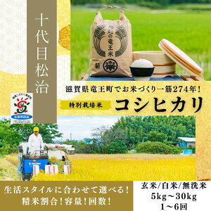 yӂ邳Ɣ[Łz Vė\ ߘa7NY  RVqJ Iׂ yցzyċz 5kg  3   ʍ͔|  uh     ꌧ 