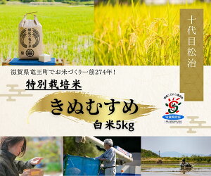 yӂ邳Ɣ[Łz ʂނ  5kg N̗ ʍ͔| ( ߘa7NY uh     270N  _ CX   _ƒ Mtg Y ꌧ 