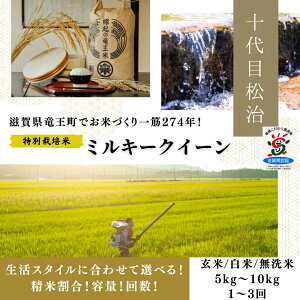 �y�ӂ邳�Ɣ[�Łz �V�ė\�� �ߘa7�N�Y �� �~���L�[�N�C�[�� 5kg �I�ׂ�y�񐔁z�y���ċ�z 1�� 3�� ����� �݂邫�[�����[�� 3���� ���� ���� ������ ���ʍ͔|�� ��������� �u�����h�� ��