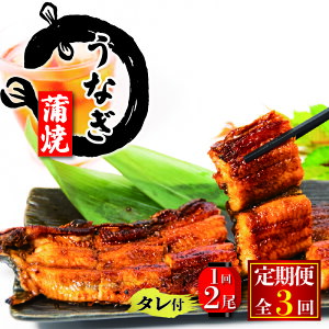 yӂ邳Ɣ[Łz 3  Y Ȃ  180g × 2 ^t ( Ⓚ v360g 3  O Ȃ Ă V VN  yj N̓ ^pbN  ꌧ   )