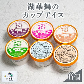 【ふるさと納税】 カップアイス 6個入 ジェラート 冷凍 6種 抹茶 ミルク チョコレート ラムレーズン ヨーグルトラズベリー ミルクティー しぼりたて 牛乳 新鮮 ギフト お中元 お歳暮 湖華舞 古株牧場