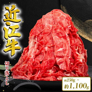 yӂ邳Ɣ[Łz ߍ] ؂藎Ƃ 1100g 550g 250g  550g 3 6 12 1N a јa Ⓚ   ӂ邳Ɣ[ uh ؗ ؂藎 Mtg Y ꌧ ߍ]   