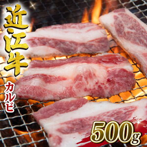 yӂ邳Ɣ[Łz ߍ] Jr 500g Ⓚ o јa go Xe[L uh  BBQ  a  Y { Oa BBQ ē Ă  ~ o o 蕨 Mtg Y