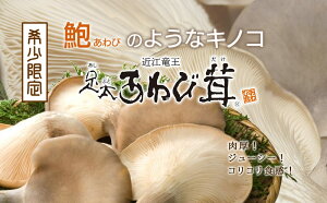 yӂ邳Ɣ[Łz ё  500g  ̂    LmR т т Y H N ꌧ   蕨 Mtg Yn