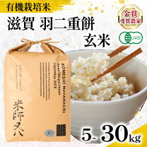 楽天市場】滋賀 羽 二 重 餅 米の通販