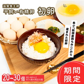 【ふるさと納税】 期間限定 初卵 たまご 20 ～ 30個 平飼い 卵 高級 有精卵 滋賀県 竜王 玉子 生卵 鶏卵 10000円以下 初卵 平飼い有精卵 ( 数量限定 滋賀竜王卵 新鮮 平飼い 卵 純国産 鶏もみじ 大人気 たまご 鶏卵 卵黄 エッグ 希少 たまごかけ ご飯 産地直送 送料無料 ）